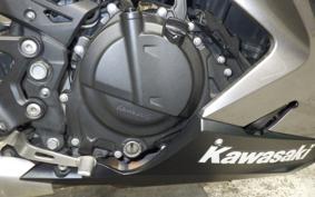 KAWASAKI NINJA 400 2022 EX400G