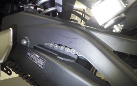 YAMAHA YZF R-3 2024 RH21J