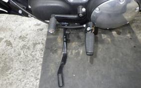 HARLEY XL883N 2015