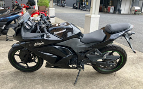 KAWASAKI NINJA 250R EX250K