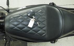 HARLEY XL1200NS 2020