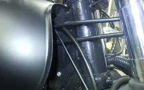 OTHER MUTT250