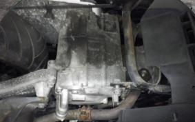 HONDA FORESIGHT EX 2025 MF04