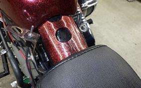 HARLEY XL1200V 2015