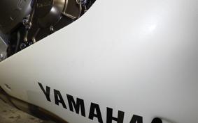 YAMAHA XSR900 GP 2024 RN96J