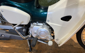 HONDA SUPER CUB50 AA09