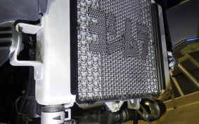 SUZUKI GSX-S125 2006 DL32B