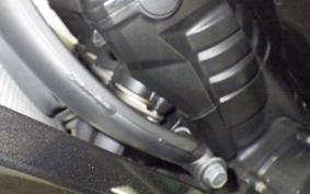 KAWASAKI NINJA 1000 2012