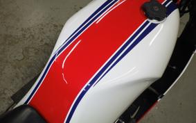 YAMAHA RZ250RR 29L