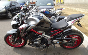 KAWASAKI Z900 2019 ZR900B