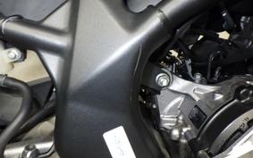 HONDA CBR250RR 2025 MC51