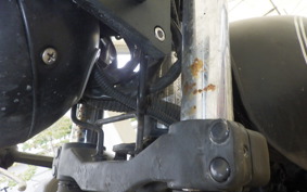 OTHER MUTT250