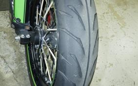 KAWASAKI KLX250D TRACKER X 2019 LX250V