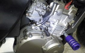 HONDA HORNET 250 1996 MC31