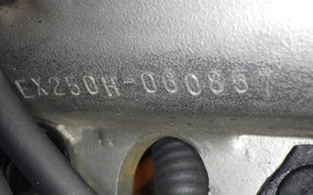 KAWASAKI ZZ-R250 EX250H