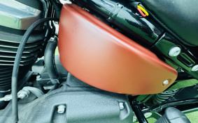 HARLEY FXBB 2017 YJJ