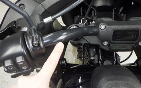 HARLEY FXLRST1920 2024