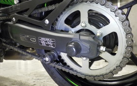 KAWASAKI ZX-4RR 2024 ZX400P