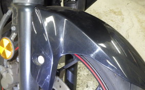 YAMAHA YZF-R25 2024 RG43J