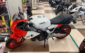 YAMAHA XSR900 GP 2024 RN96J
