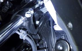 HONDA FORZA 250 2024 MF17
