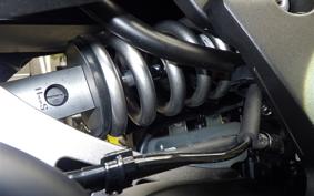 KAWASAKI NINJA 1000SX 2024 ZXT02K