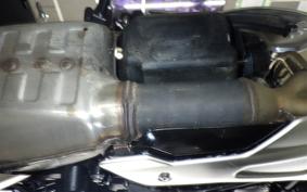 TRIUMPH TRIDENT 660 2024