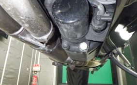 KAWASAKI ZX 1400 NINJA R A 2020