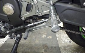 KAWASAKI ZX-4RR 2024 ZX400P