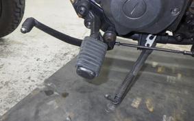 YAMAHA VIRAGO 250 2023 3DM