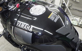 YAMAHA XSR900 2024 RN80J