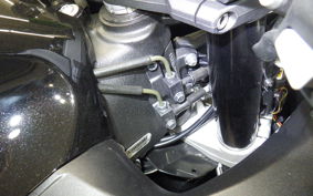 KAWASAKI ZX 1400 NINJA R A 2019