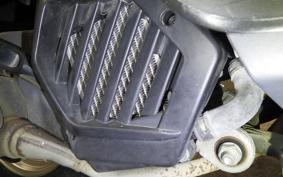 HONDA TACT Basket 2024 AF79