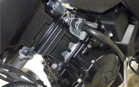 KAWASAKI VERSYS 250 A 2025 LE250D