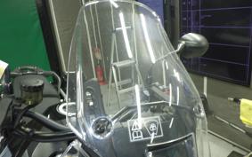 TRIUMPH TIGER 900 RALLY PRO 2022