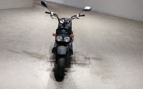 HONDA ZUMAR AF58