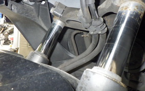 HONDA FAZE 2023 MF11
