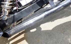 YAMAHA VIRAGO 250 TRIKE 3DM