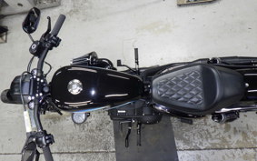 HARLEY XL1200NS 2018