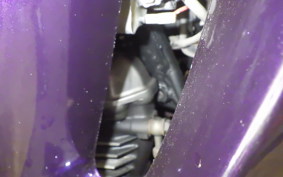 KAWASAKI ZZ-R250 EX250H