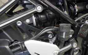 KAWASAKI Z900RS 2024 ZR900K