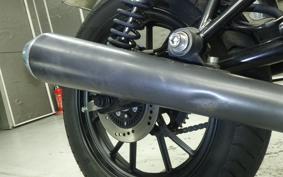 OTHER MUTT250