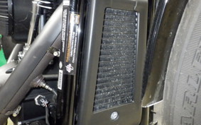 HARLEY FXBB1750 2020