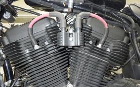 HARLEY XL1200NS 2020