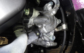 HONDA TACT Basket 1999 AF79