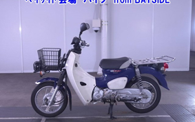 OTHER C110-3