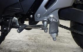 SUZUKI GSX250 R 2019