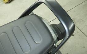 HUSQVARNA SVARTPILEN 401 2023