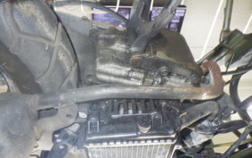 HONDA GIORNO CREA AF54