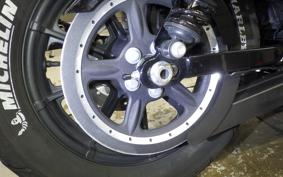 HARLEY XL1200NS 2020
